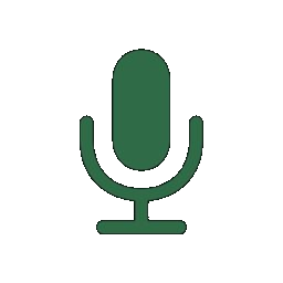 Voice Input